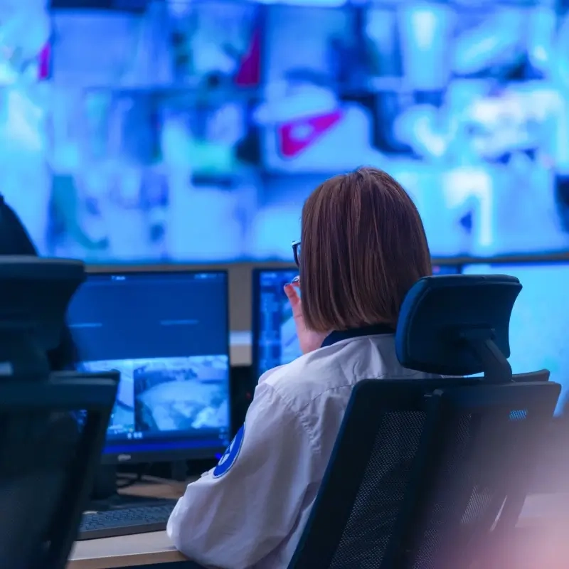 Real-time Live Monitoring